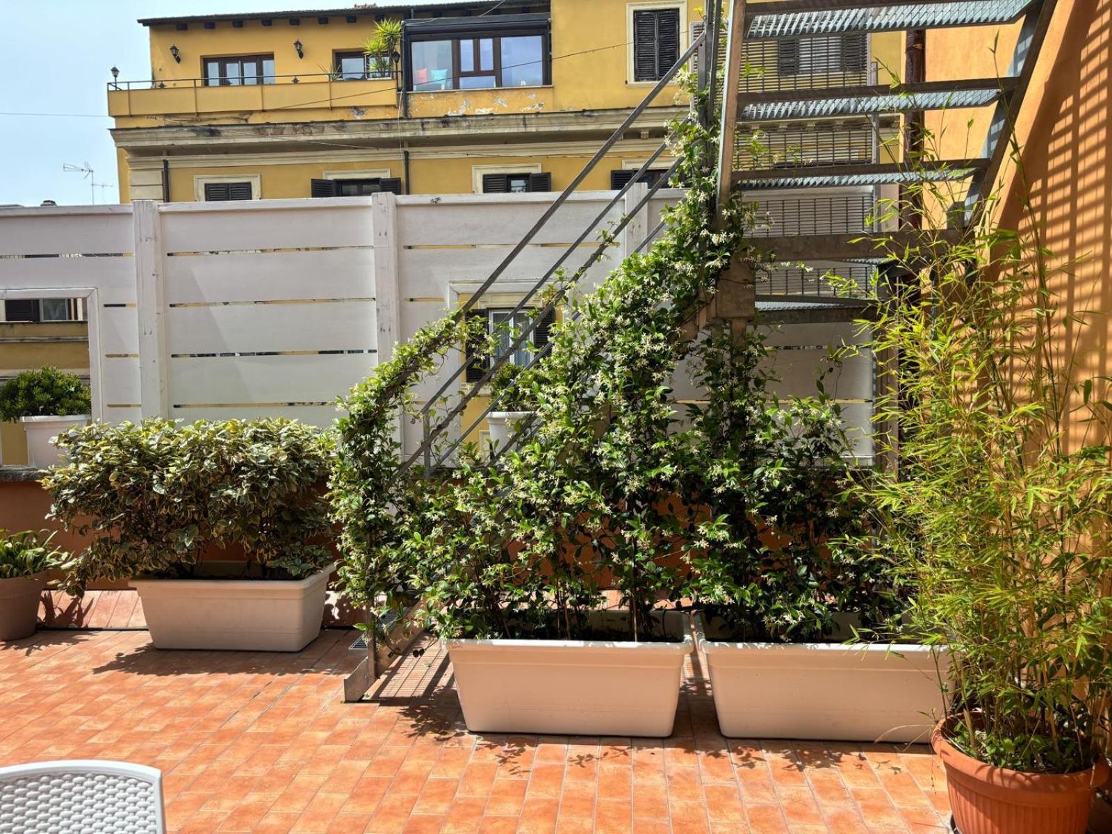 Rooftop St. Peter روما المظهر الخارجي الصورة